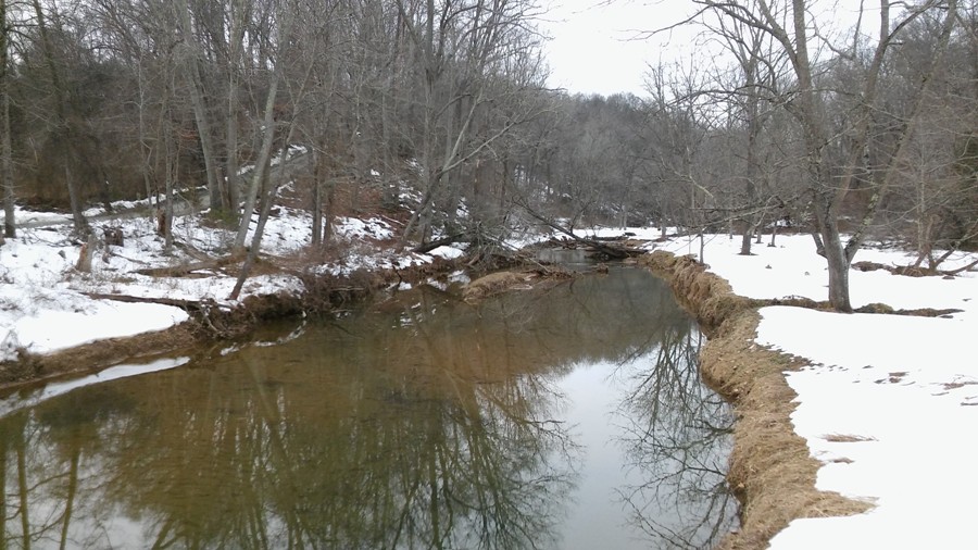 View of Big Branch looking upstream from bridge