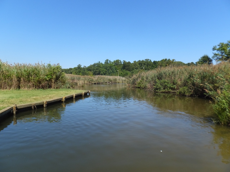 Narrow section of inlet