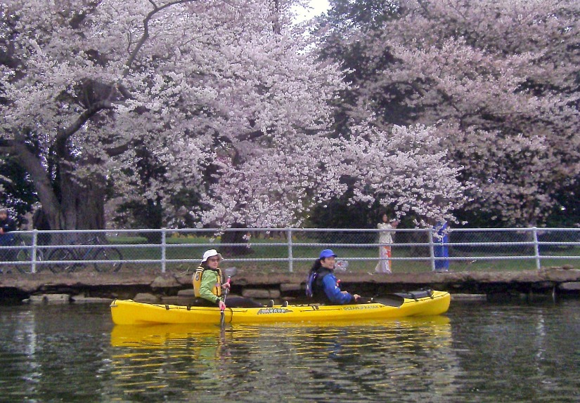 Norma and I in the Cabo with cherry trees