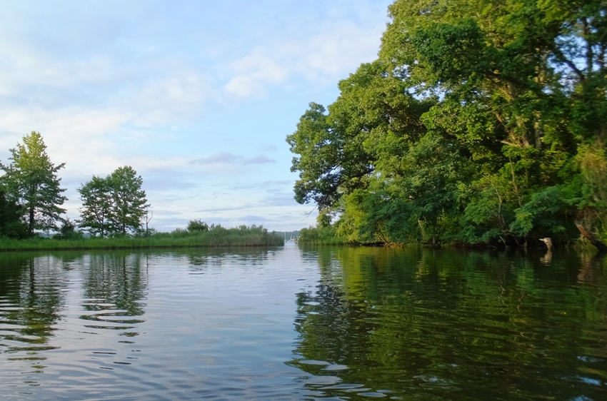 Small entrance to creek bordered by grasses and trees