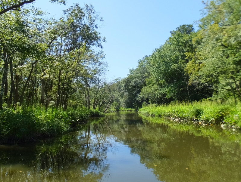 Wooded scenery on Marshyhope Creek