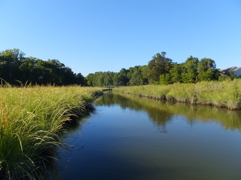 Bay grass-lined tributary with boardwalk in the distance