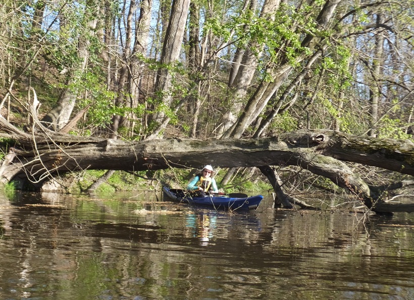 Norma coming out the other side