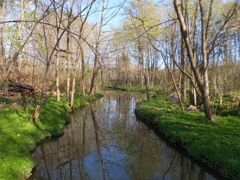 Scenic, narrow section of waterway