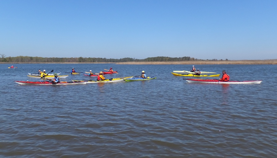 Side view of many kayaks