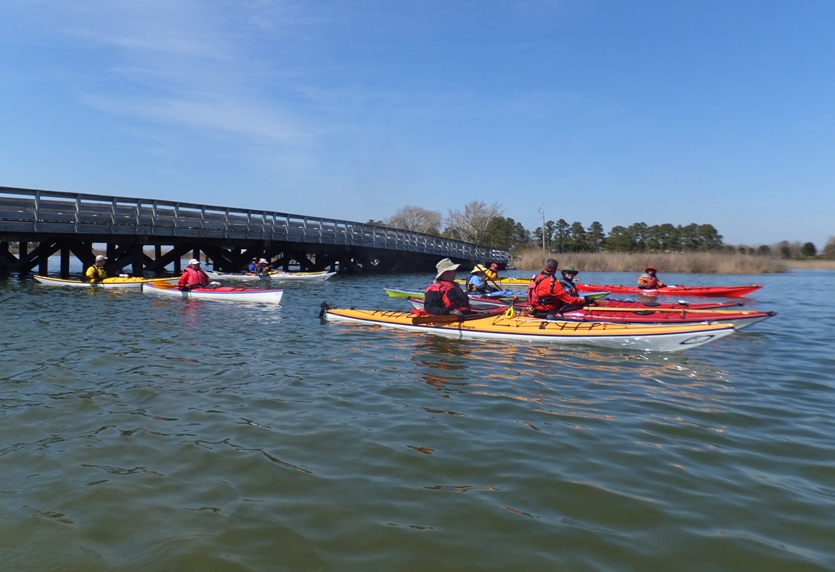 Kayakers with bridge behind