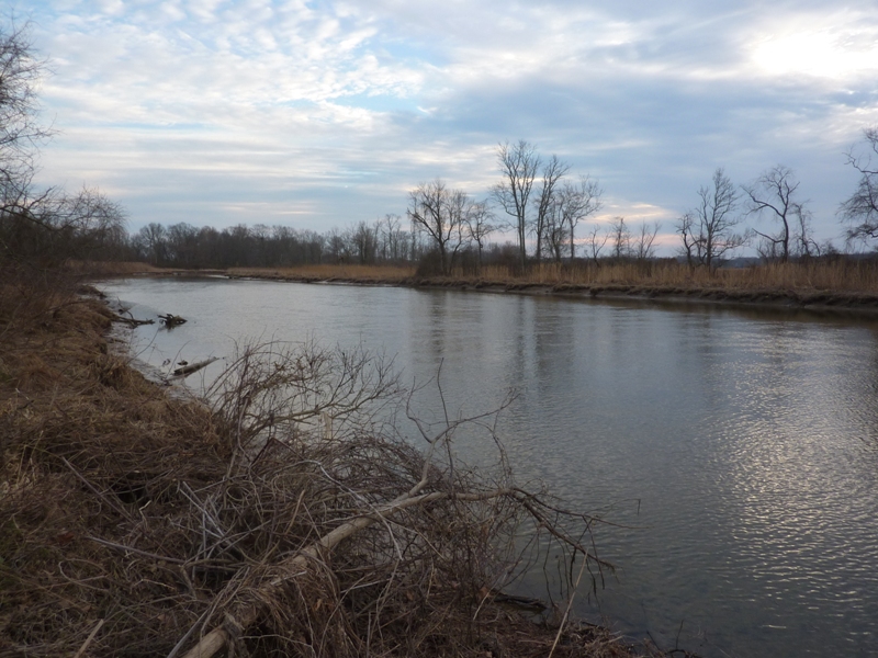 View of Little Elk Creek from Historic Elk Landing