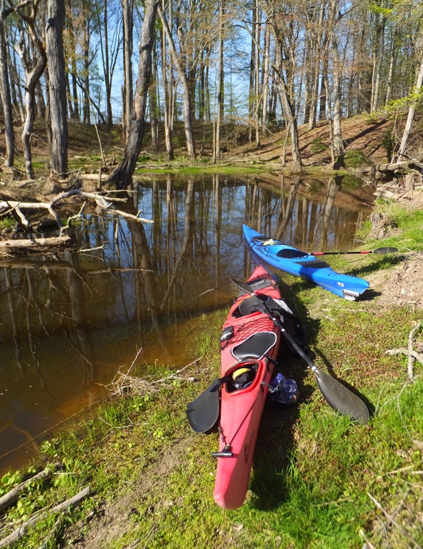 Two kayaks ashore in narrow tree-lined waterway