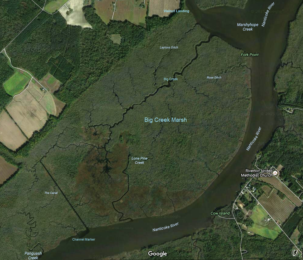 Satellite photo of creeks