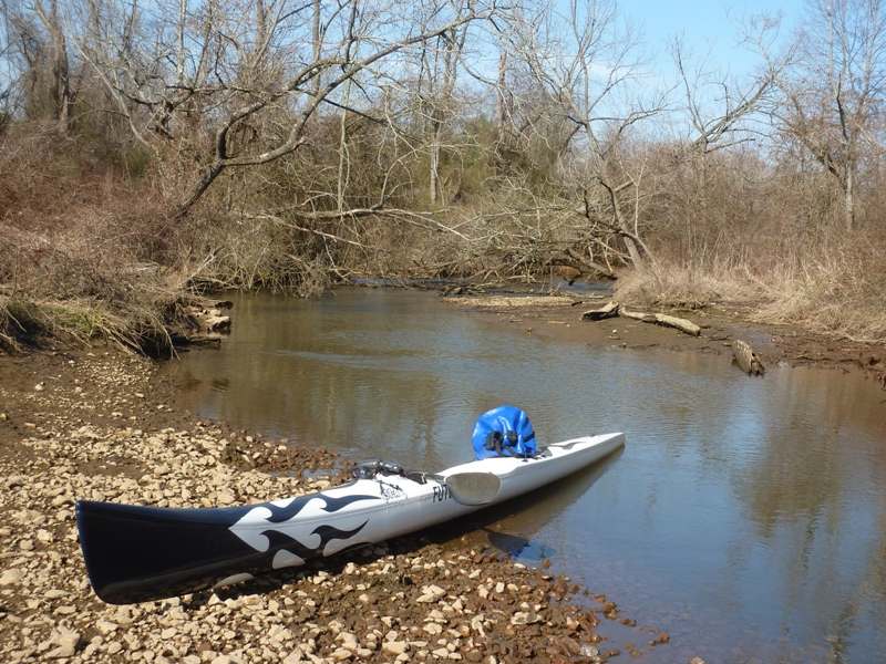 Surkski pulled ashore near Delaware