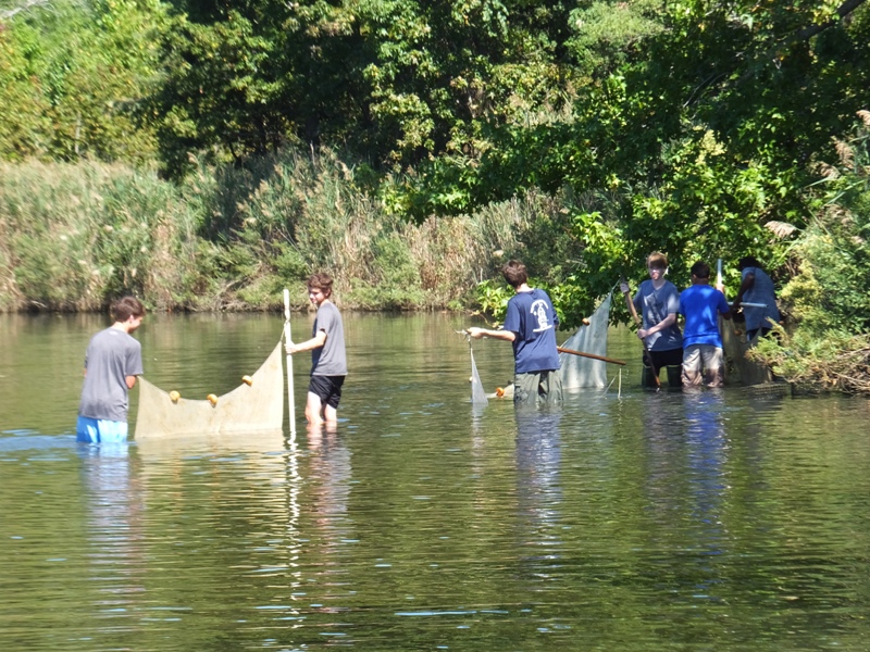 Six kids with nets in the water