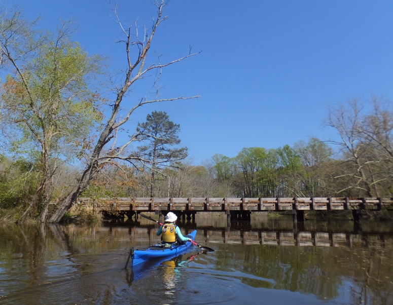 Norma kayaking to Kingston Road Bridge