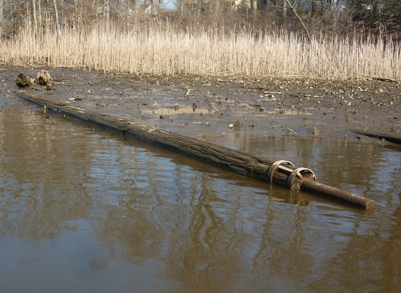 Long wooden pole in the mud