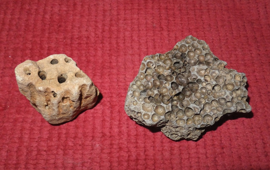Two interesting rocks, one with holes and the other looking like it had bubbles
