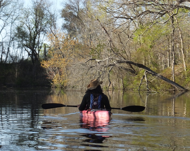 Back view of me in kayak