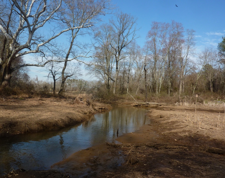 Narrow Sandy Branch creek