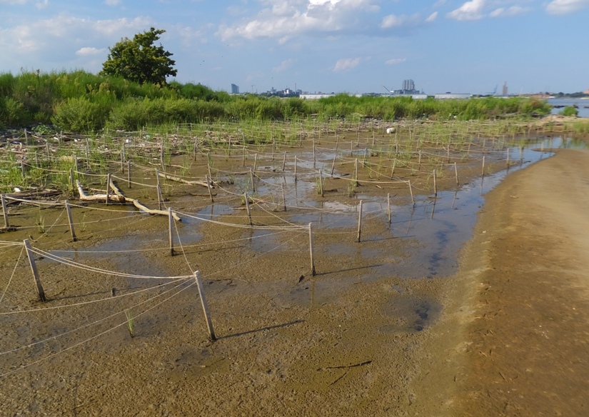 Sticks and strings to section off muddy area
