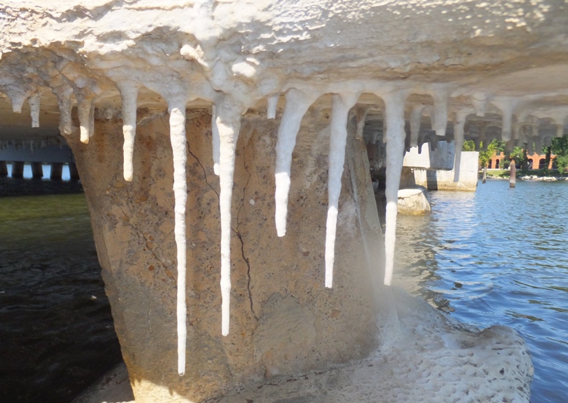 Stalactites growing under bridge on College Creek