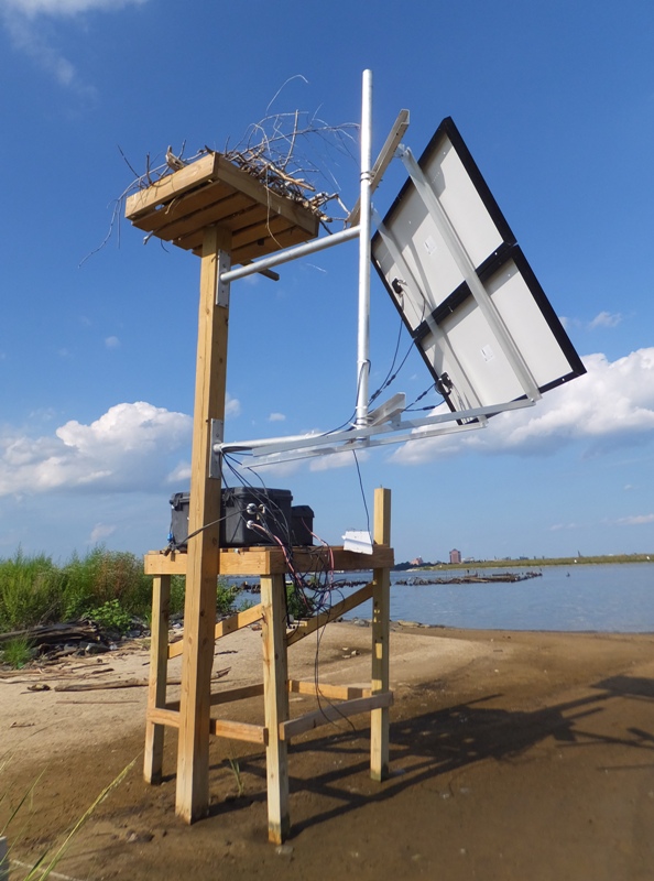 Solar panel, battery, and osprey platform on muddy beach