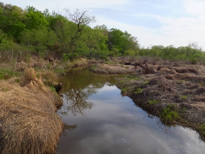 Dry grass bordering the waterway