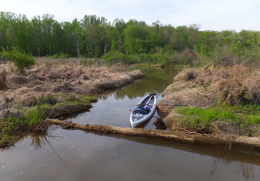 My SUP on scenic waterway