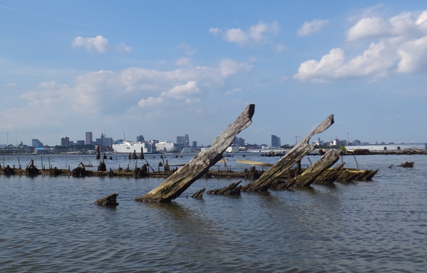 Curved sections of wood that look a little like the ribs of a ship's hull