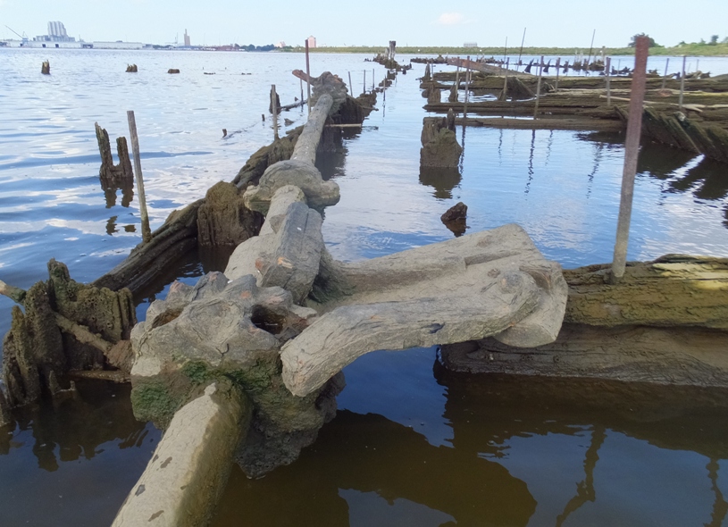 Gear and thing to keep it only turning one direction