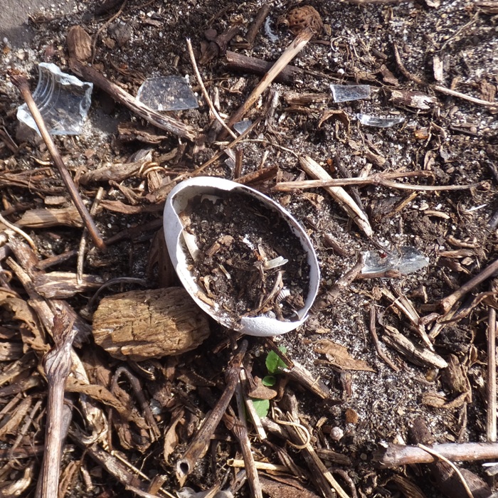 Broken egg and broken glass