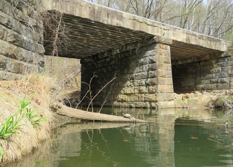 South view of bridge with turtle on log in foreground