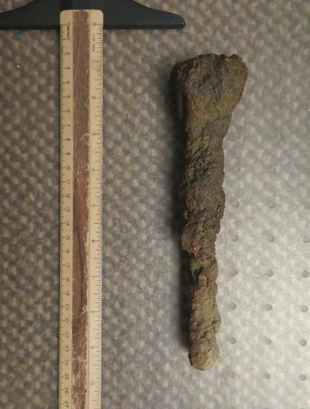 Rusty metal long thing next to ruler for size comparison