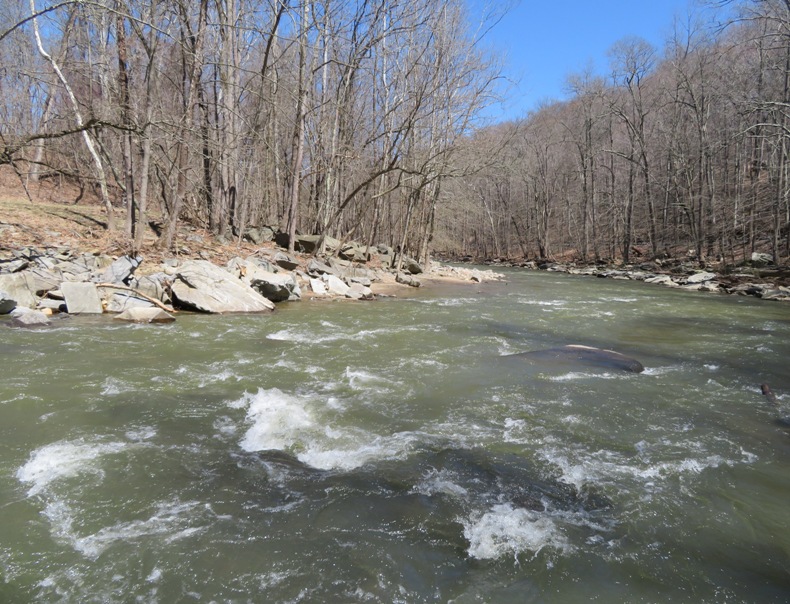 Whitewater conditions on Deer Creek