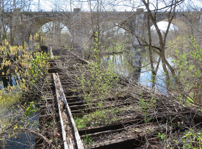 Overgrown train bridge as seen from the top