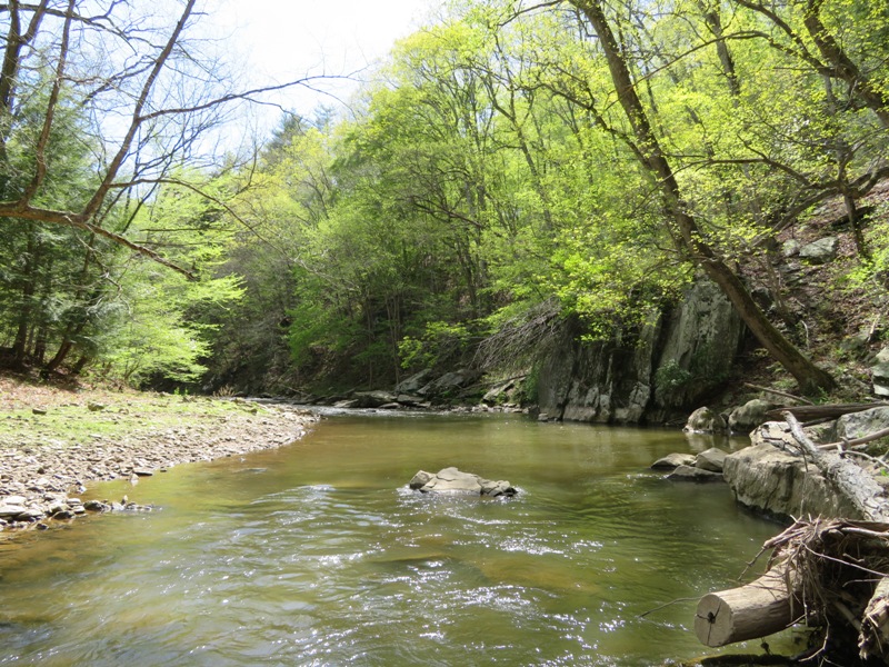 Rocky shallow area of creek