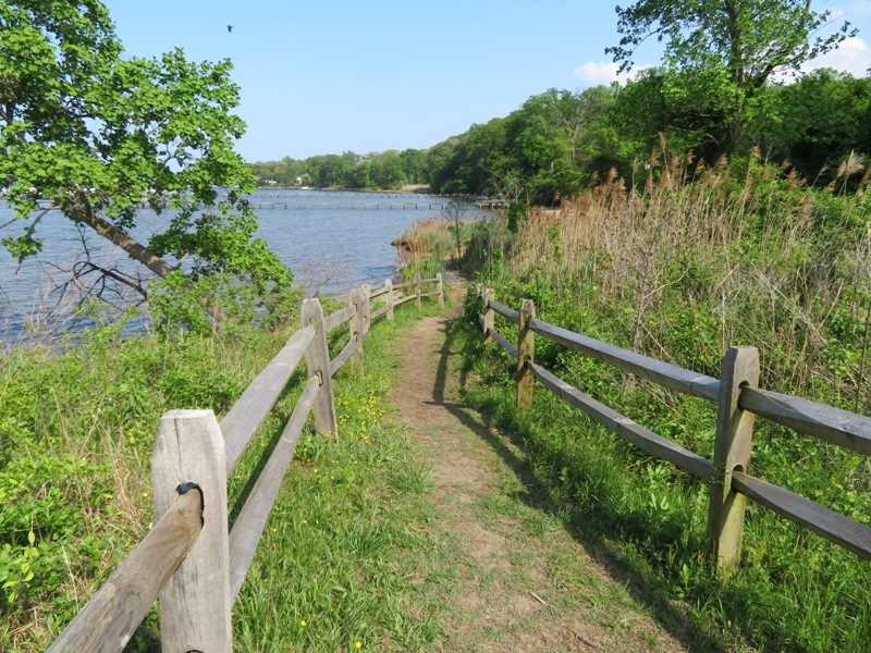 Fence-lined dirt path leading to the beach