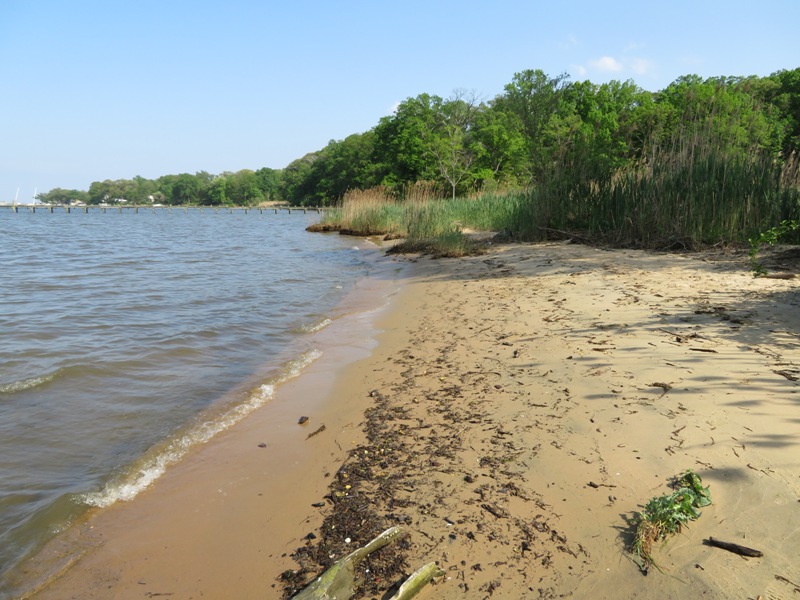 Sandy beach