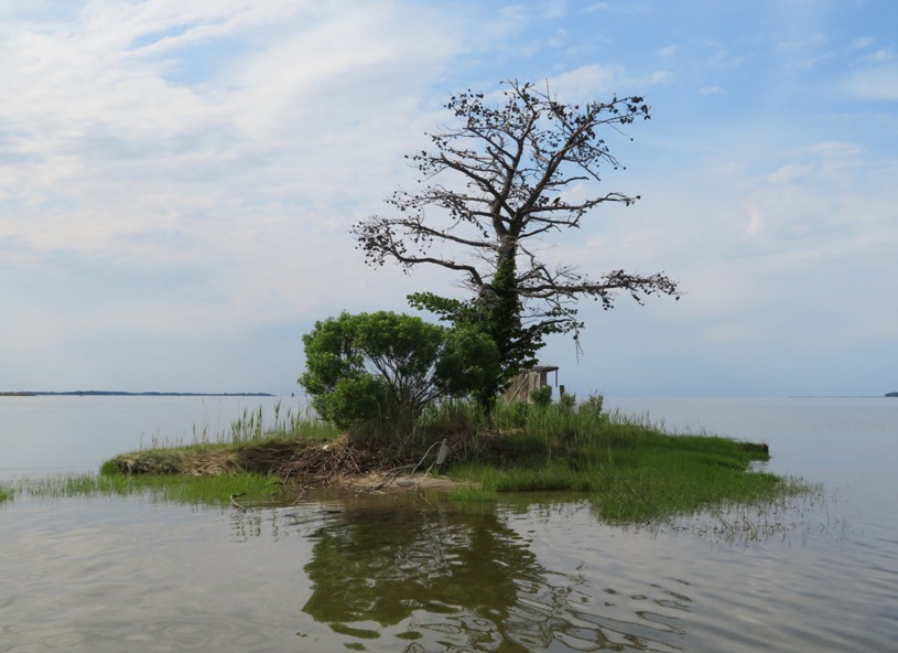 Extremely small island with vegetation