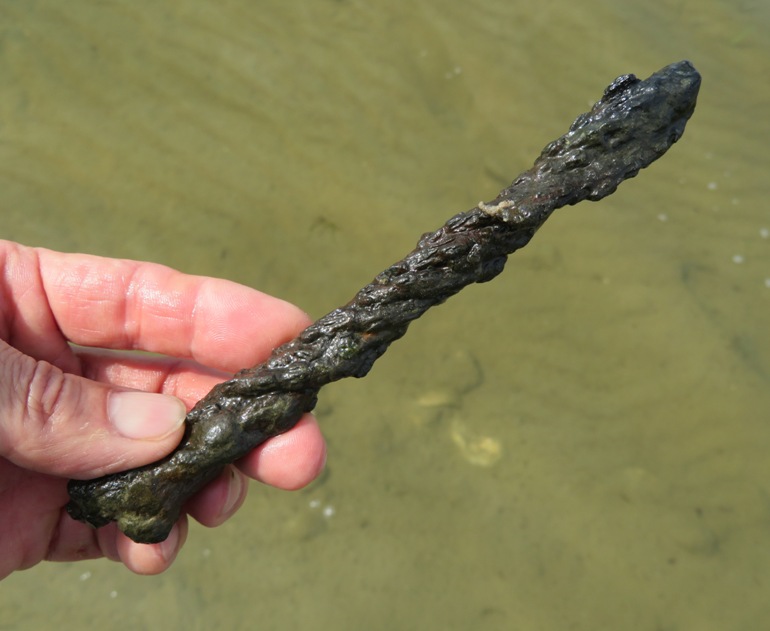 Rusty metal rod-shaped thing about eight inches long