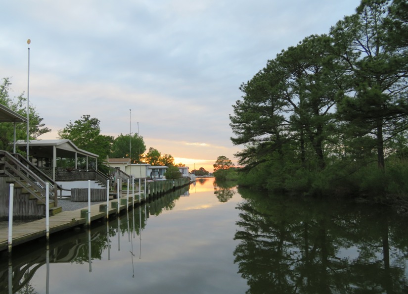 Mobile homes on the left, pine trees on the right, and waterway in the middle
