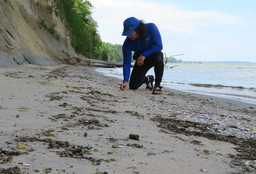 Me kneeling on beach, looking for fossils