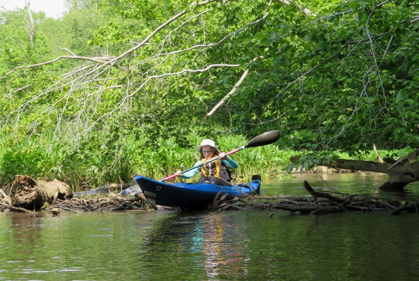 Norma kayaking over beaver dam