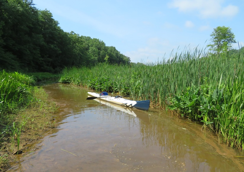My surfski on Broad Creek
