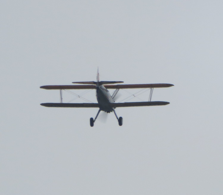 Rear view of biplane in flight