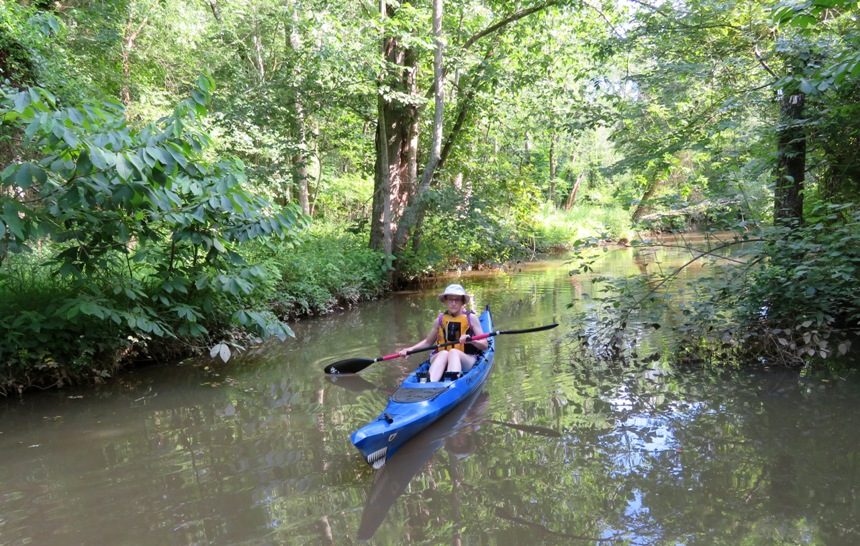 Norma in her kayak with paw paw trees on the left and berries on the right