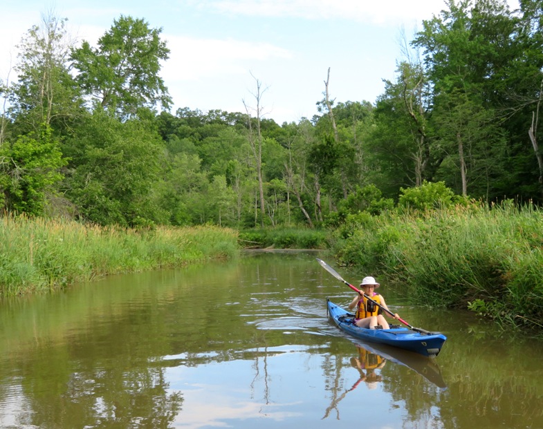 Norma kayaking downstream