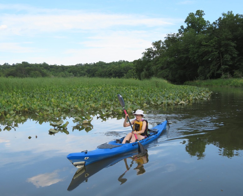 Norma kayaking fast next to spatterdock