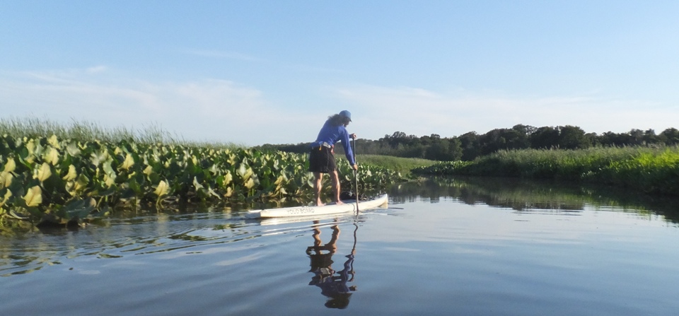 Rear view of me on SUP