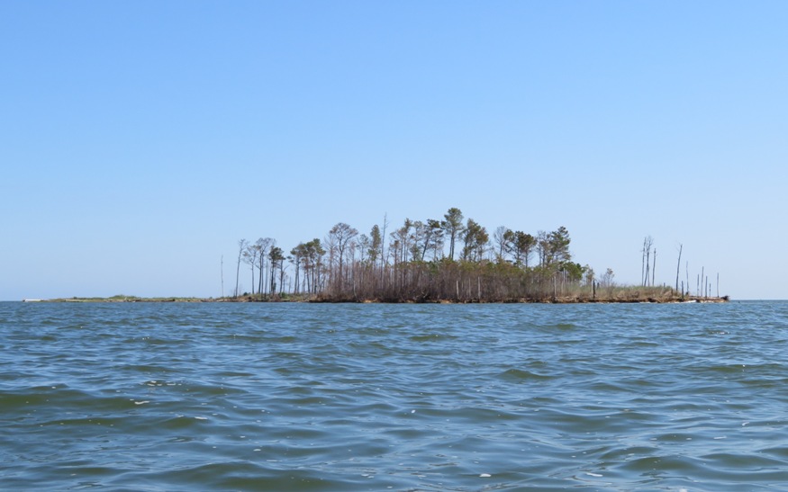 Middle Island