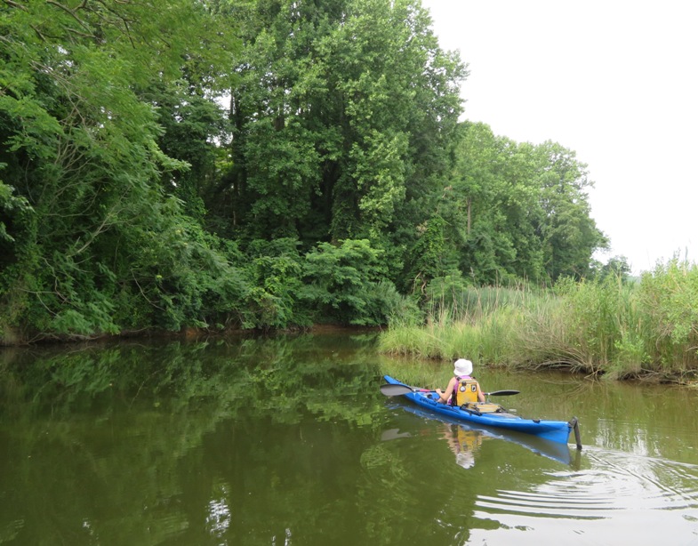 Norma in her kayak where Breezy Point Creek meets the marina