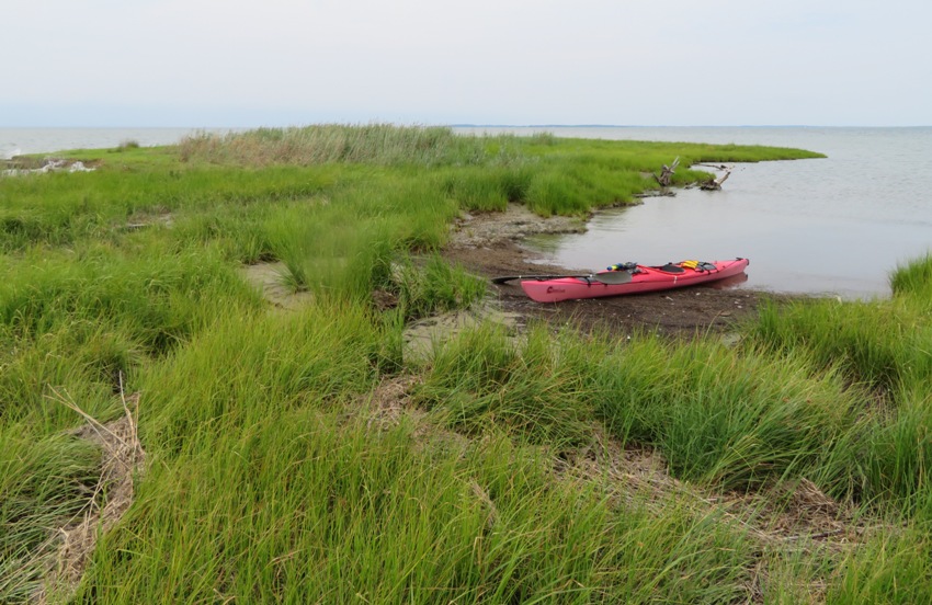 My kayak on the shore surrounded by grasses