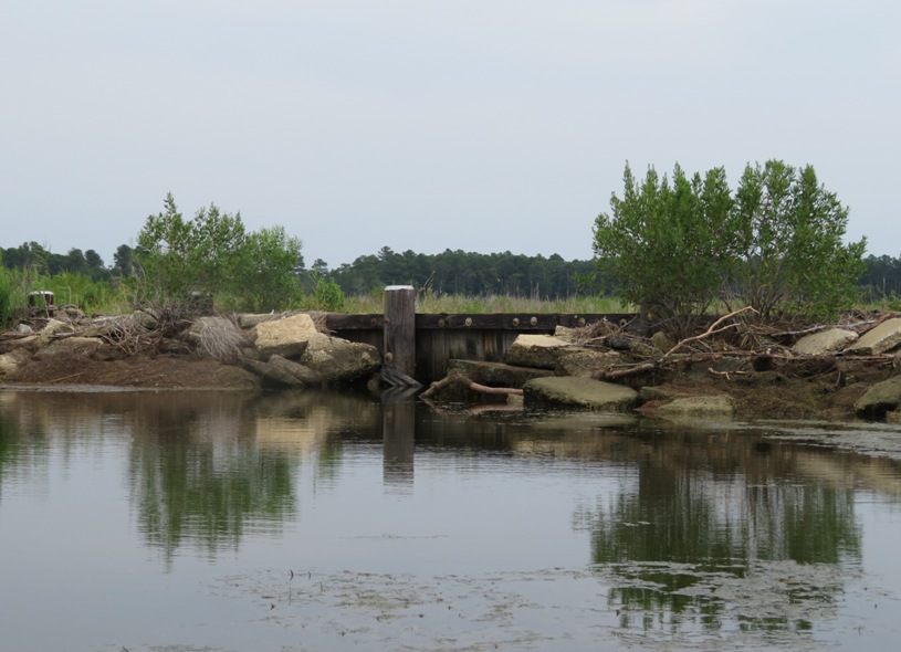 View of where I launched from the water